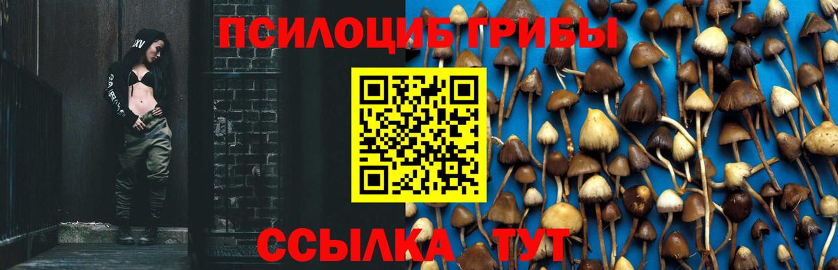 Нефтекамск  Псилоцибиновые грибы ЛСД  Вход с VPN 
